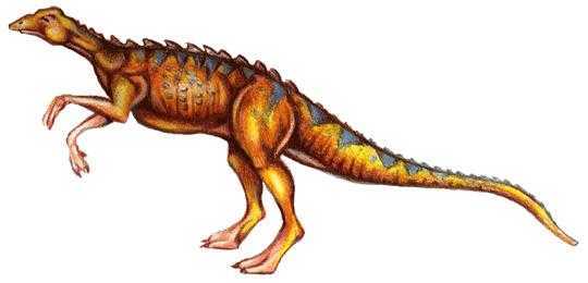 小盾龙scutellosaurus