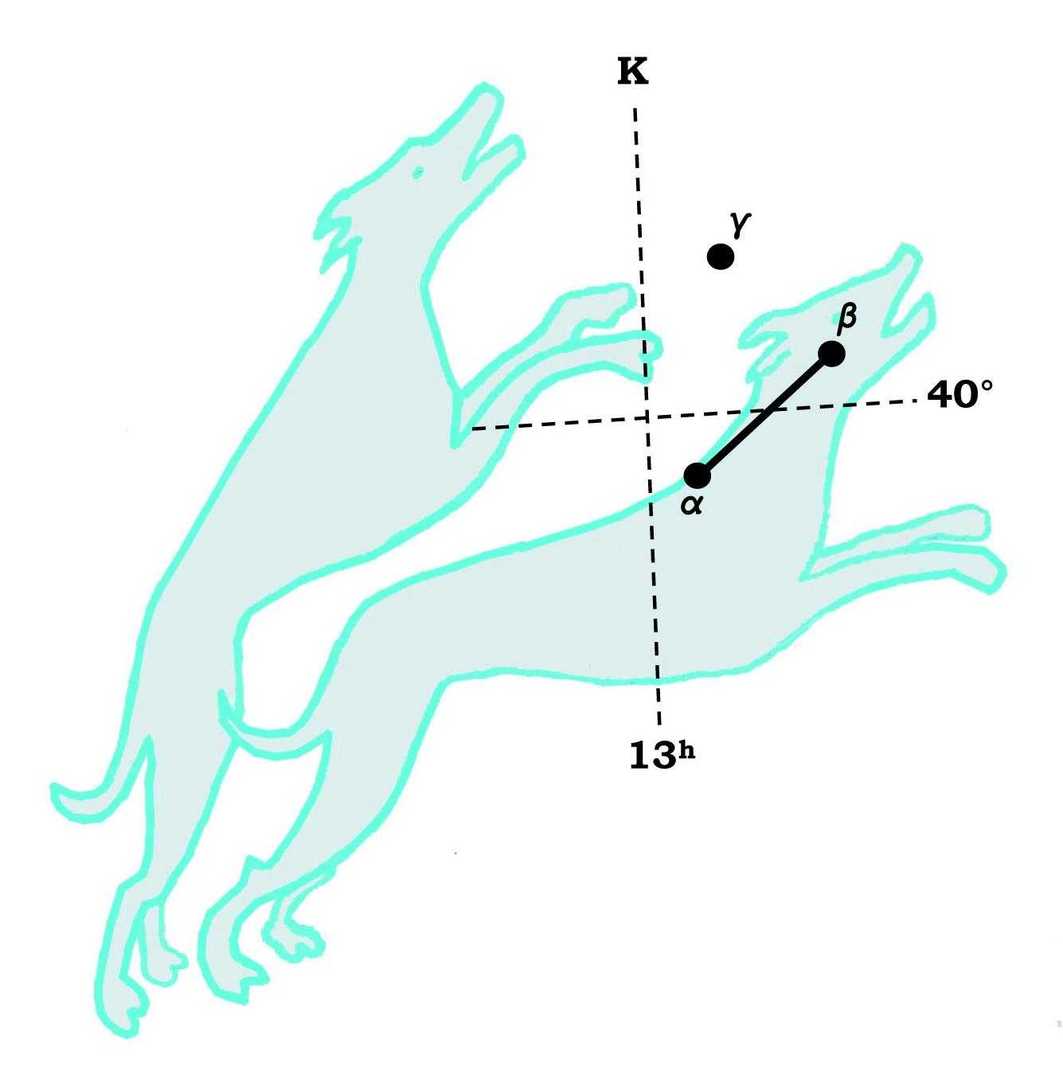 猎犬座canesvenatici